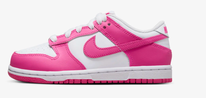 Little Kids Nike Dunks