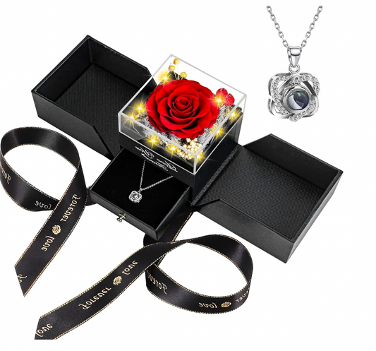 Preserved Red Real Rose with Heart I Love You Necklace